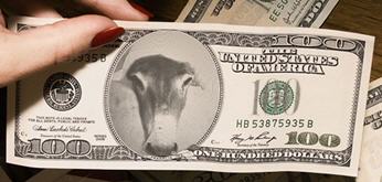 billet