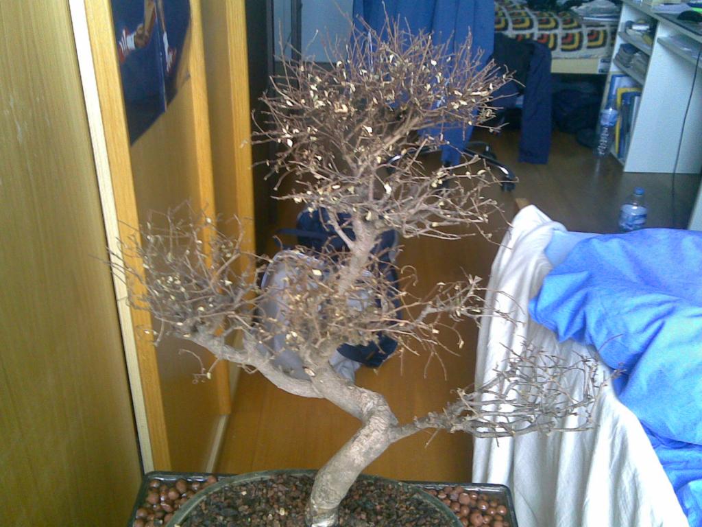 Image: 07052008-3225b3.jpg