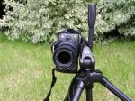Image externe
