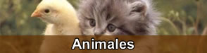 Animales