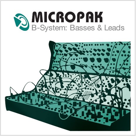 Puremagnetik B-System Bass and Leads KONTAKT