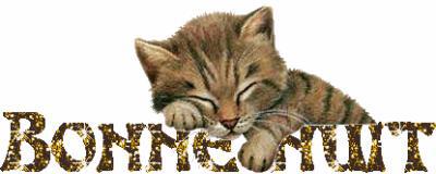 http://img29.xooimage.com/files/9/2/e/bonnenuit3-36b00e.jpg