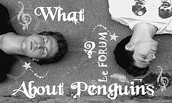 Bienvenue sur le Forum de What About Penguins? / Cliquer sur la banniere!