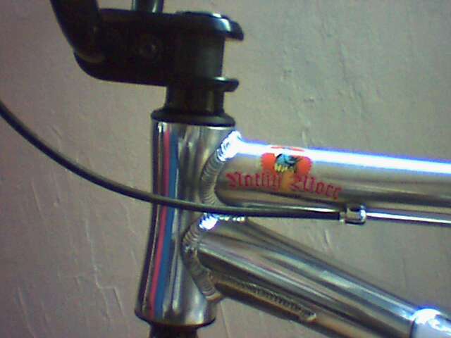Image: dc00009-3215d9.jpg
