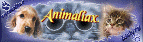 Image Hosted by ImageShack.us