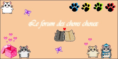 Les chons choux!! Forum Index