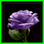 http://img29.xooimage.com/files/f/2/b/courante-12bfb6e.gif
