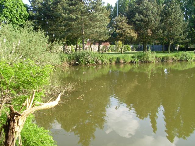 Image: sl370207-34359c.jpg