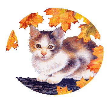 http://img29.xooimage.com/files/5/c/2/2345259791_1-1ad8d09.gif